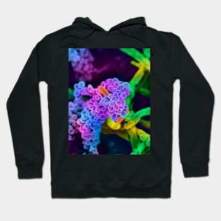 Oral bacteria, SEM (F012/4026) Hoodie